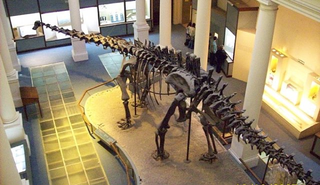 museo