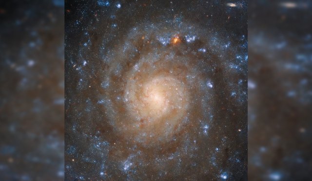 H06A