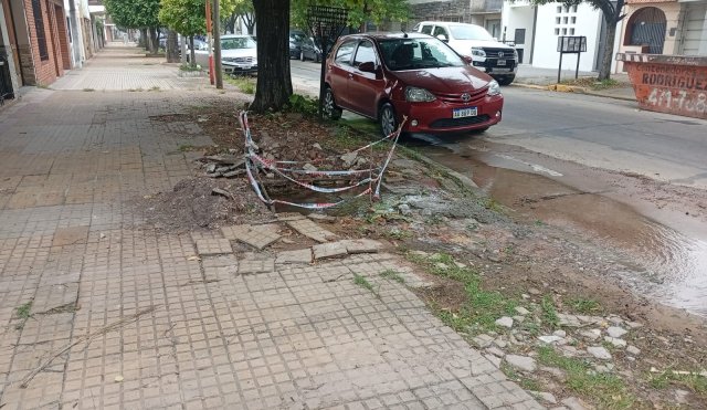 pérdida 