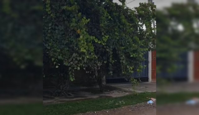 H15C
